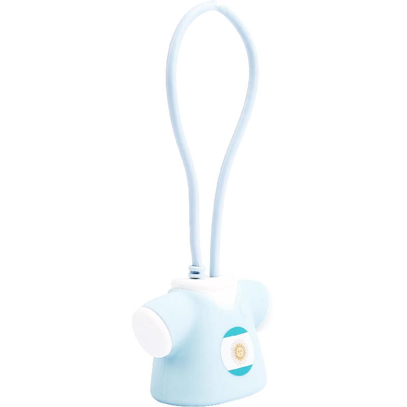 D&S USB-C to USB 2.0 Sync & Charge Cable, 20.00 cm ( 7.87 in ), Light Blue/White